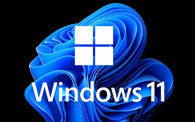 Windows 11如何设置文件夹的只读属性？Windows 11文件夹只读属性设置全攻略