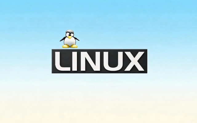Linux 中的 stdin、stdout 和 stderr 是什么?
