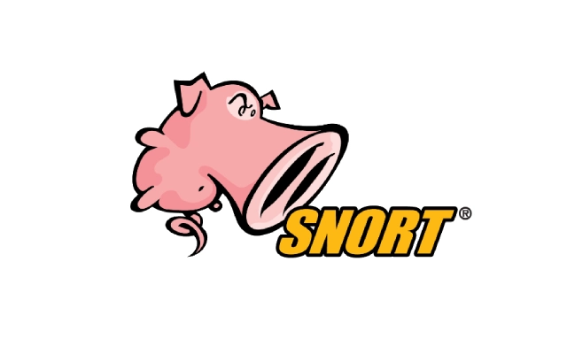 内网安全监控必备：Snort IDS/IPS配置全套实操步骤